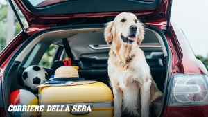 Vacanze, l'83% dei napoletani parte con cani e gatti: è