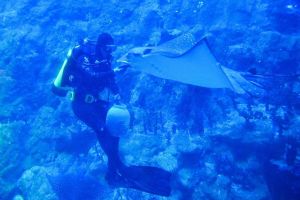 Dans les profondeurs de nos océans, l’évolution des espèces tourne à plein régime