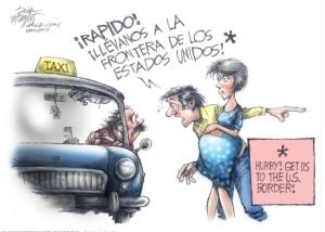 Cartoonists’ take