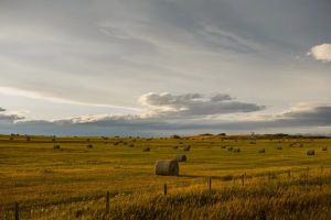 CHARLEBOIS: Farm Credit Canada needs new mission — and more transparency