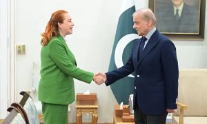 Premier asks embassies to create employment opportunities for Pakistanis