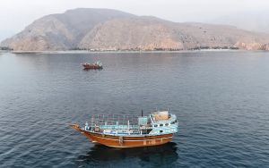 Third ship hit in Hormuz within 24 hours, as Doha blames Iran for striking Qatari tanker