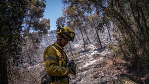 El punto cero del incendio de Sentmenat, arrasado mientras el flanco más crítico amenaza el Vallès Oriental