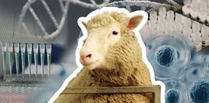 30 years since Dolly the sheep was born, where is cloning technology at now?