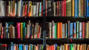 Casi ocho meses sin biblioteca en Baztan