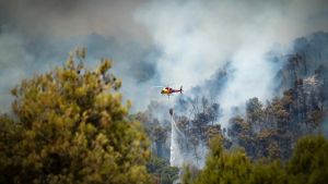 La ola de calor incendia el sur de Europa