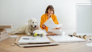 Hunde bei Ikea jetzt überall erlaubt: Was Hundehalter dennoch beachten müssen