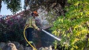 Catalunya revisará las franjas antiincendios de las urbanizaciones