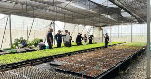 Norfolk banana company acquires major firm in worldwide expansion