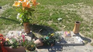 Abano, tombe depredate: al cimitero spariscono i fiori