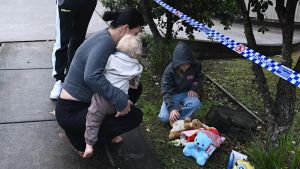 A little boy fell through cracks in the protection system