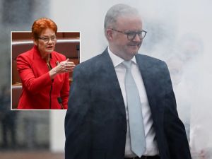 Bolt: Hanson provokes Albo to welcome more stupid divisiveness