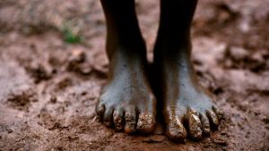 Il land grabbing e i paesi sfruttati dal nuovo colonialismo