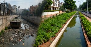 How a 12-Km Bengaluru Drain Became a Green Corridor That Helps the City Handle Floods