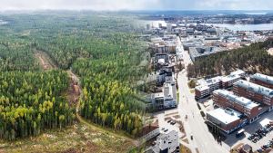 Metsä | Luontopaneeli ei tarkastele kokonaisuutta, eikä yhteistä etua tasapuolisesti