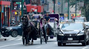 It’s time to ban horse carriage rides in New York