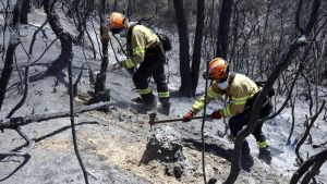 Agricultura autorizó el uso de la radial que originó el fuego de las Gavarres, pero la empresa debía parar en caso de riesgo alto de incendio