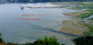 Fibreglass: How this emerging contaminant is polluting our coasts