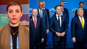 Trump Praises Erdoğan at NATO Summit Amid Turkey’s Crackdown on Civil Society