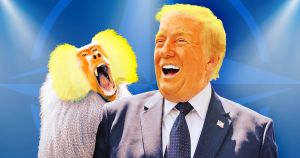 Trump’s Unhinged NATO Act Turned a World Summit Into a Zoo
