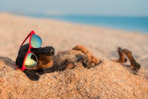Les vacances, ce n’est pas seulement une dépense