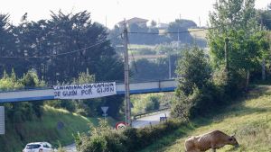 El hartazgo por los accesos al Puerto de Gijón crece en Carreño, que ya intensifica su plan para activar la vía judicial: 