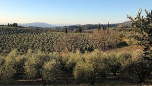Addio alla contessa Bini Smaghi, sorella di Lapo e Fioretta Mazzei