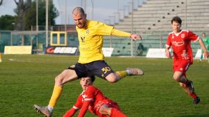 Fermana, conferma per l’esterno Alessio Malafronte