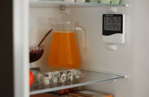 Na koliko stepeni treba da bude frižider leti? Odgovor zavisi od jedne važne stvari