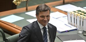 Angus Taylor warns a One Nation government would bring ‘an eternity of pain’