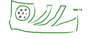 Die 74er Verklärung – meine erste WM