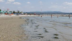 Pulizie dell’arenile a Marina Julia: vittoria bis del Comune di Monfalcone sulla concessionaria