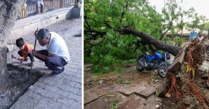 How Dehradun Is Helping Trees Stand Strong Through the Monsoon