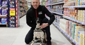 Major pet retailer opening new store in coastal town next month
