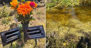 Relatives still forced to weed 'horribly overgrown' grounds where loved ones cremated