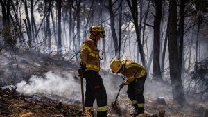 Directo | Cortada la alta velocidad entre Figueres y Perpinyà por un incendio próximo a la vía en Francia