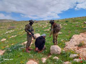 High Court petition demands protection for West Bank Palestinian herding communities
