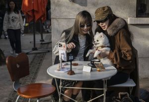 Pets Won’t Save Hong Kong Dining — But They’re a Start