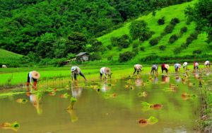 Thailand needs a long-term strategy for the next energy shock
