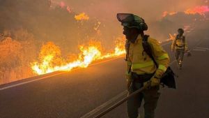 Mueren al menos 12 personas en el incendio forestal de Los Gallardos (Almería)