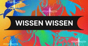 Dieser Stich tötet. Oder?