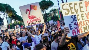 La revolución de los flamencos