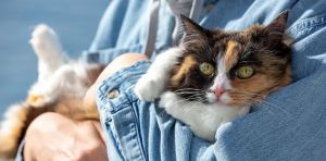 If so many people live with toxoplasmosis, how dangerous is this brain parasite really? Should I be worried?