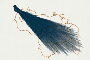 La pava ciriaca, por Aglaya Kinzbruner