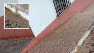 Una invasión de gusanos 