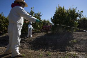 New Medicaid Work Requirements May Strip Farmworkers of Health Insurance