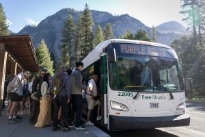 Yosemite June visitation soars to near-record high