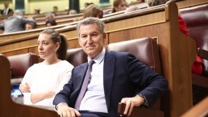 Responsabilidad del presidente del Gobierno y estabilidad política
