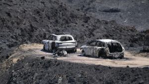 Ratonera de fuego en Los Gallardos