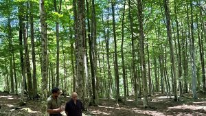 L’Amiata protagonista su Rai Uno. Oggi c’è ’Linea Verde Discovery’